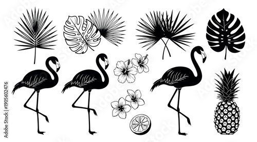 Hand drawn tropical summer set featuring flamingos, exotic leaves, hibiscus flowers, and a pineapple for summer designs and holiday decor
