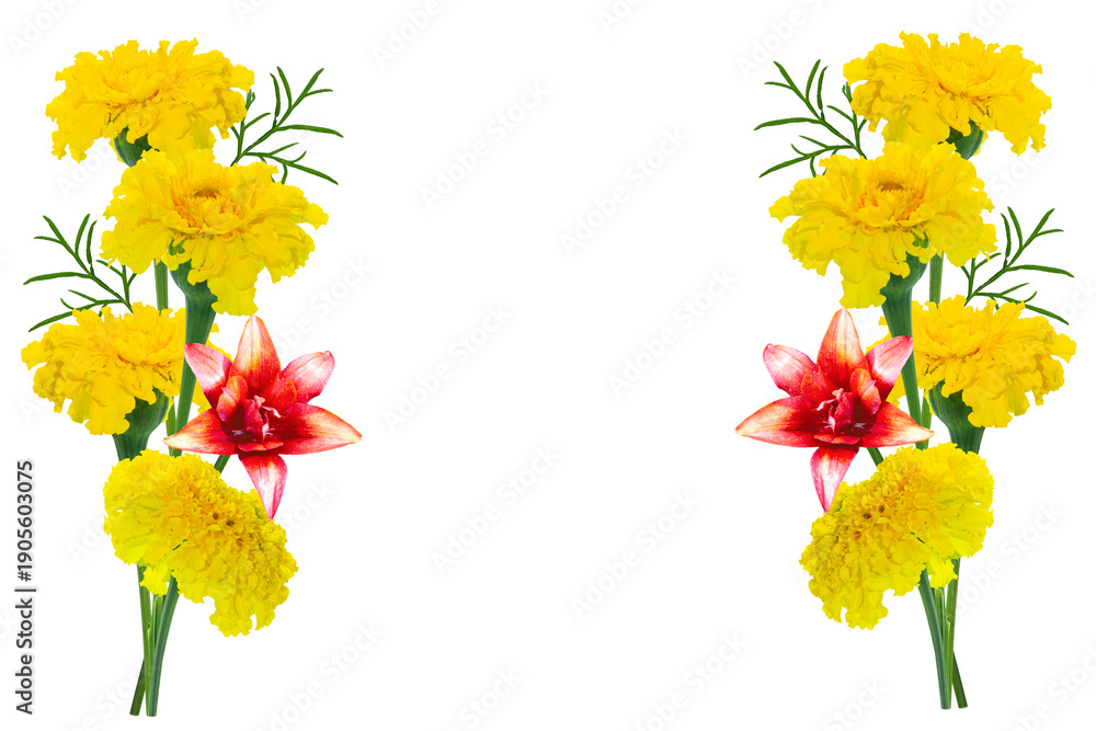 Obraz premium Lilies. Yellow autumn marigold flowers on a white background. Frame. Floral arrangement. Copy space.