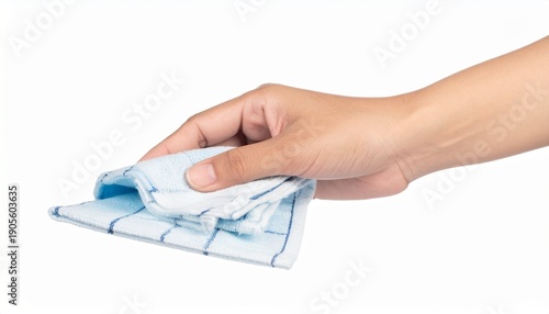 Wallpaper Mural Hand Holding Blue and White Checkered Cloth Torontodigital.ca