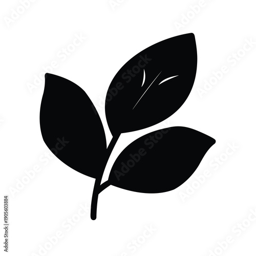 Black and white leaf drawing of botanical foliage for decoration needs