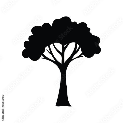 Silhouette of a mature tree with rounded crown, branches and trunk