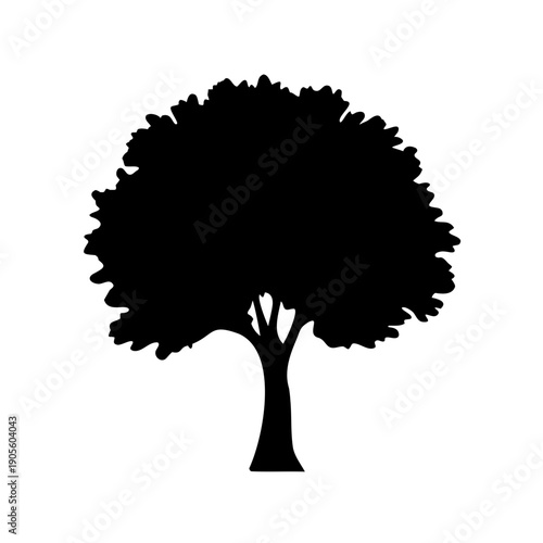 Silhouette of a mature tree with a dense crown on white background