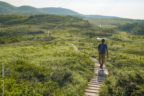 Foto 夏の白木峰で木道を歩く登山者