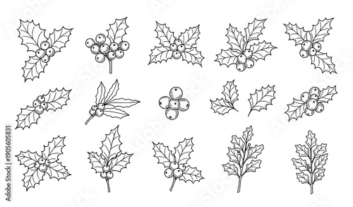 Christmas Holly Leaf And Berry Doodle Clipart Set Hand Drawn Vector