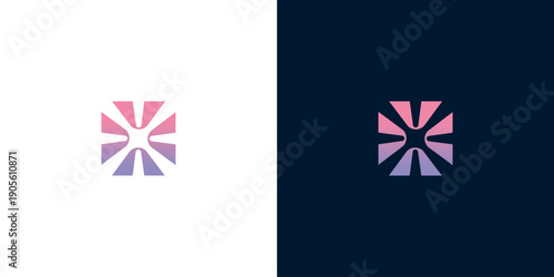 Abstract geometric logo design with radiating lines and gradient colors on white and dark backgrounds