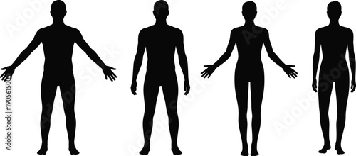 Black silhouette set of male and female human bodies in standing poses, anatomical figures for medical, health, and fitness illustrations. (20 words)