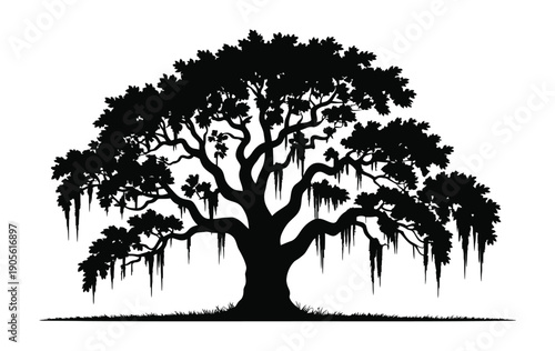 Majestic Live Oak Tree Silhouette Vector Illustration, Southern Oak With Hanging Spanish Moss, Isolated On White Background For Nature Illustration, Landscape Design, And Botanical Artwork.