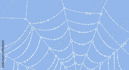 Intricate Spider Web with Dew Drops Closeup.