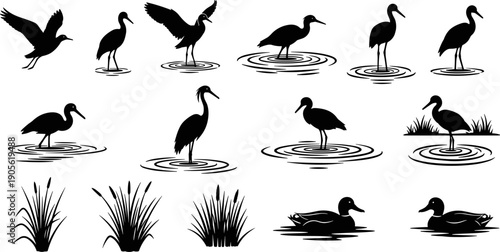 Silhouette vector set of water birds including herons, cranes, and ducks in various poses such as flying, wading in water, and swimming.