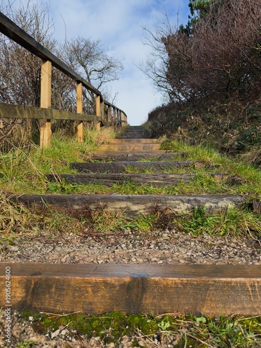 Foto Wooden steps leading up a grassy hillside footpath in a rural outdoor setting