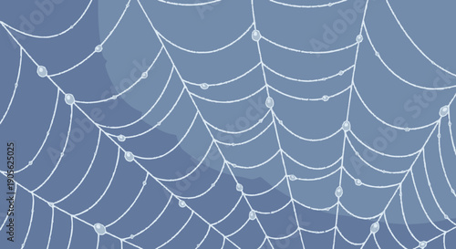 Spider Web Closeup with Dew Drops.
