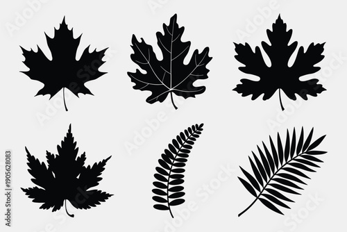 Black leaf silhouettes collection. Includes maple, oak, and fern leaf shapes. Created in solid black style with white background.