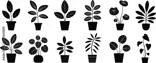 Black potted plant silhouette icon set with various indoor houseplant shapes, minimalist botanical collection for home decor, logo, graphic design use