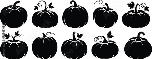 Black pumpkin silhouette icon collection with curly stems and maple leaves, autumn harvest vegetable shapes for halloween design use