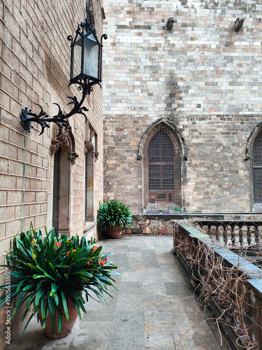The historic architecture of Barcelona's Barri Gòtic district, characterized by intricate stone facades, medieval buildings and ornate details in a charming urban setting. Barcelona, Catalonia, Spain