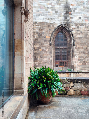 The historic architecture of Barcelona's Barri Gòtic district, characterized by intricate stone facades, medieval buildings and ornate details in a charming urban setting. Barcelona, Catalonia, Spain