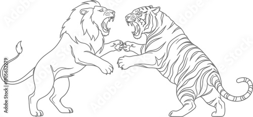 Fierce outline drawing depicts a powerful confrontation between an aggressive roaring lion and a striking striped tiger squaring off in battle