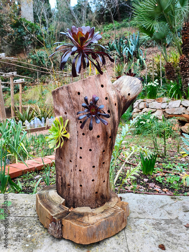 Lush vegetation and diverse plant species in the botanical gardens on Montjuïc hill in Barcelona, Spain. Exotic and Mediterranean flora growing in a peaceful natural environment, popular destination f