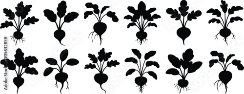 Collection of black silhouettes featuring men and women in various business and casual standing poses isolated on white background for graphic design