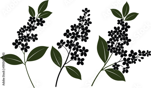 Minimalist black and white floral branches vector illustration featuring delicate four petaled flowers and oval leaves for elegant botanical border design