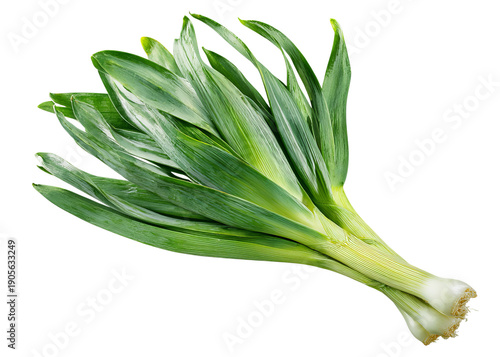 Fresh Leeks with Green Leaves isolated on a transparent background