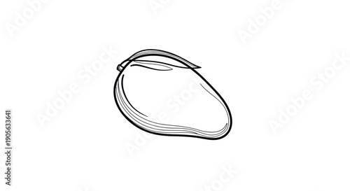 Hand-drawn mango sketch, isolated on white background, tropical fruit line art