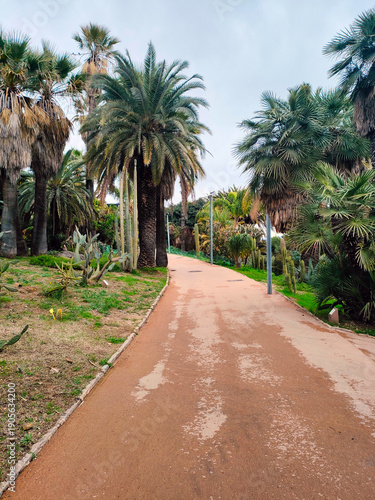 Cactus Park (Parc de Cactus) on Montjuïc hill in Barcelona, Spain. A botanical garden featuring a wide variety of cactus plants and succulent plants, arranged in scenic terraces with pathways