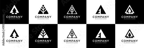 Set of abstract pine tree with letter A logo design. Universal icon for business and branding. minimalist elegant design vector illustration.