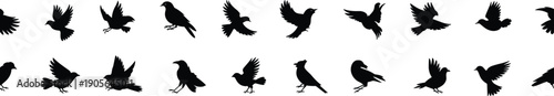 Flying and perched bird silhouettes collection showing crow and small birds in different wing positions isolated on white vector