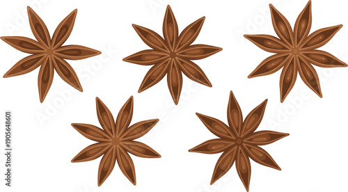 Star Anise Spice Set Isolated on White Background Flat Vector Illustration