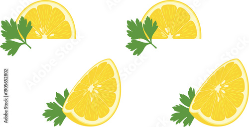 Lemon Slice with Parsley Leaves Set Isolated on White Background Flat Vector Illustration