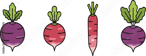 Radish and Turnip Root Vegetables Set Isolated on White Background Flat Vector Illustration