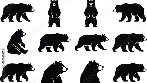 Bear silhouette pose set standing walking sitting wildlife animal illustration black shapes isolated white background vector design collection
