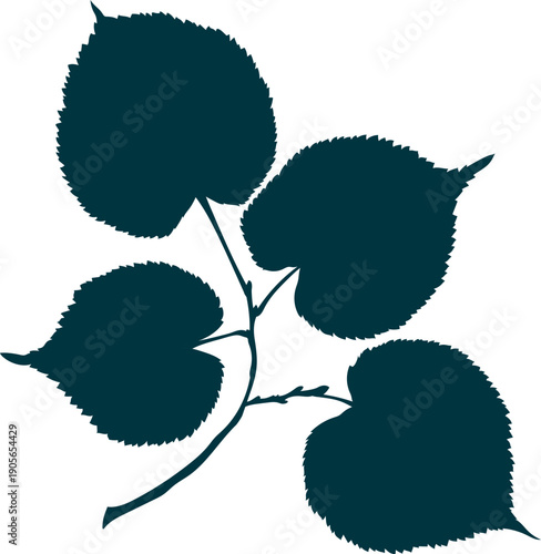 Hand-drawn linden leaves branch silhouette on transparent background. Flat style vector illustration