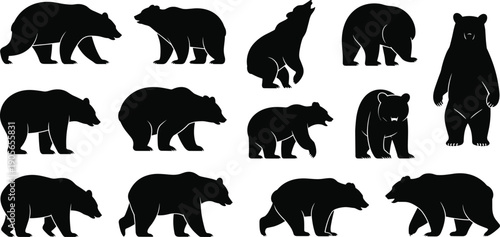 Collection of bear silhouettes in various standing, walking and roaring poses isolated on white background for wildlife design and nature illustration