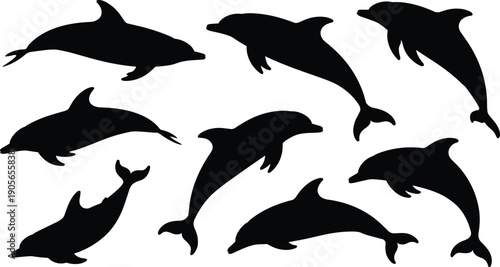 Collection of dolphin silhouettes in jumping and swimming poses isolated on white background for marine wildlife design