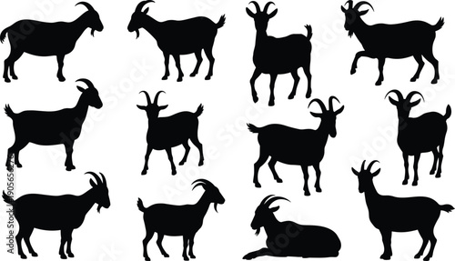 Collection of goat silhouettes in various standing, walking and resting poses isolated on white background for farm animal design