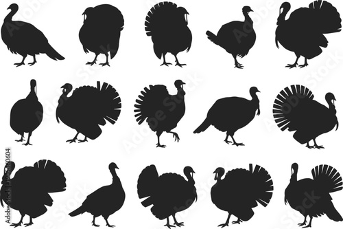 Set of black turkey bird silhouettes isolated on white background, farm poultry wildlife vector illustration collection for design