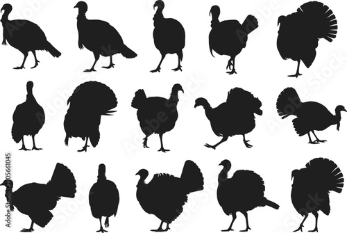 Set of black turkey bird silhouettes isolated on white background, wildlife farm animal shapes vector illustration collection for design