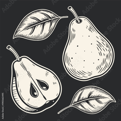 A collection of stylized pear illustrations is presented against a stark black background. The main subject is the pears, which are rendered in a grayscale, pen-and-ink style. The style has a vintage,