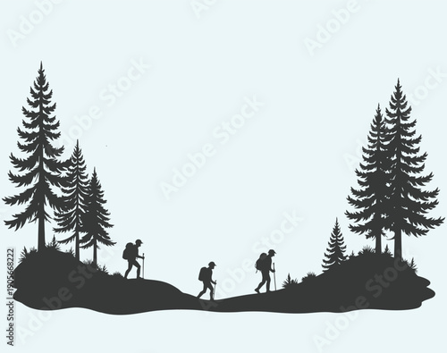 Hikers walking on a trail surrounded by tall pine trees