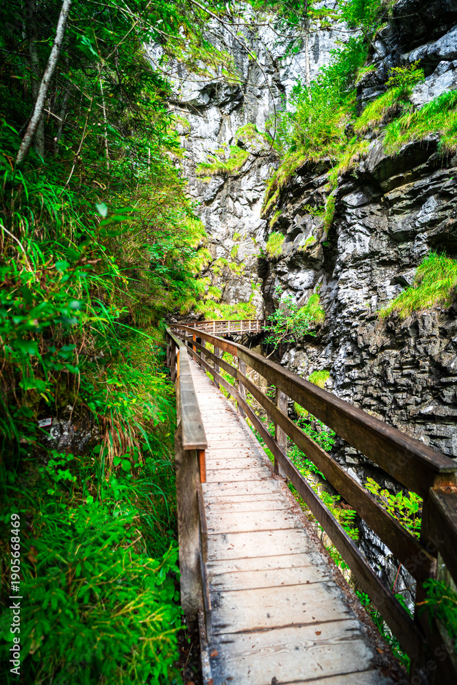 Obraz premium Hiking through the Vorderkaser Gorge near Lofer in the Salzburg region of Austria 2025