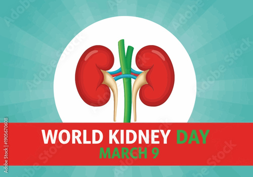 World kidney day march 9 illustration with anatomical kidneys