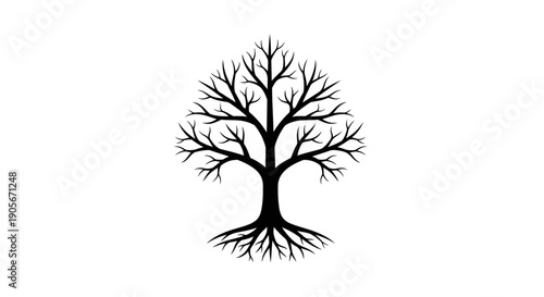 Black silhouette of a bare tree with visible roots against a white background.