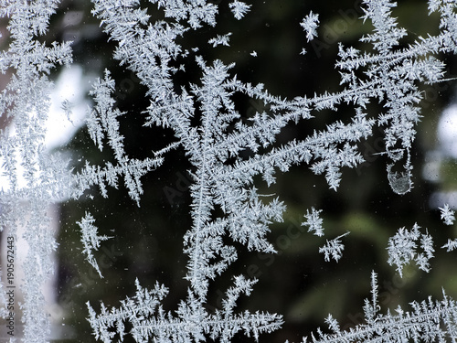 Bild auf Leinwand Intricate white ice crystals and hoarfrost patterns on a cold window pane