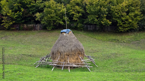 Traditional hayrick (haystack) supported by a wooden frame in a grassy field. Rustic rural scene with a backdrop of autumn trees and a wooden fence. Autumn landscape in rural Romania.