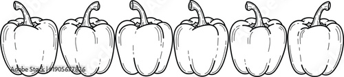 Bell pepper CAD drawing flat vector illustration, black and white outline capsicum row, minimal line art vegetable design pattern isolated