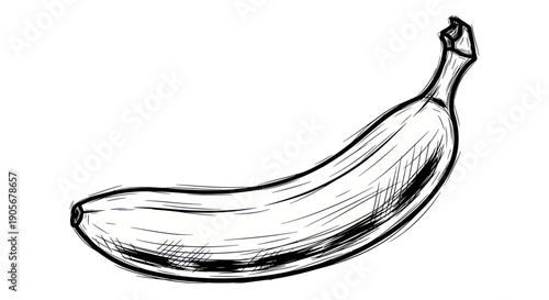 Hand-drawn banana sketch with hatching on white background