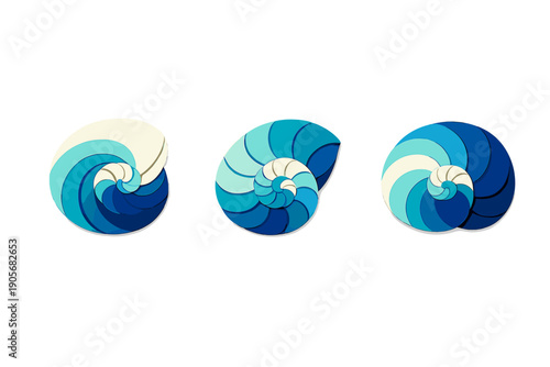 Three stylized nautilus shells featuring layered spiral designs in various shades of blue and cream are arranged horizontally against a solid black background.