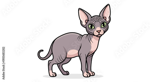 Cartoon sphynx cat with distinctive features on a clear background, an illustration that can be
